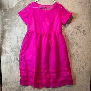 Anthropologie Gabrielle Silk Organza Midi Dress Size 4 Pink Sheer New